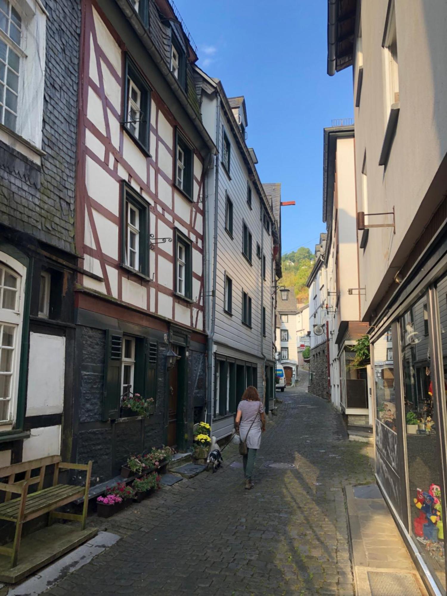 Apartment Rur-Partie Im Haus An Der Rur Monschau Kültér fotó